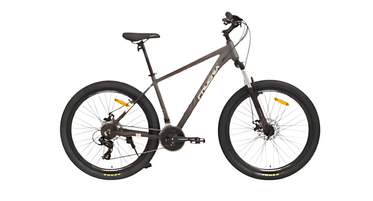 دوچرخه سایز 20 دنده ایی فونیکس 20520008